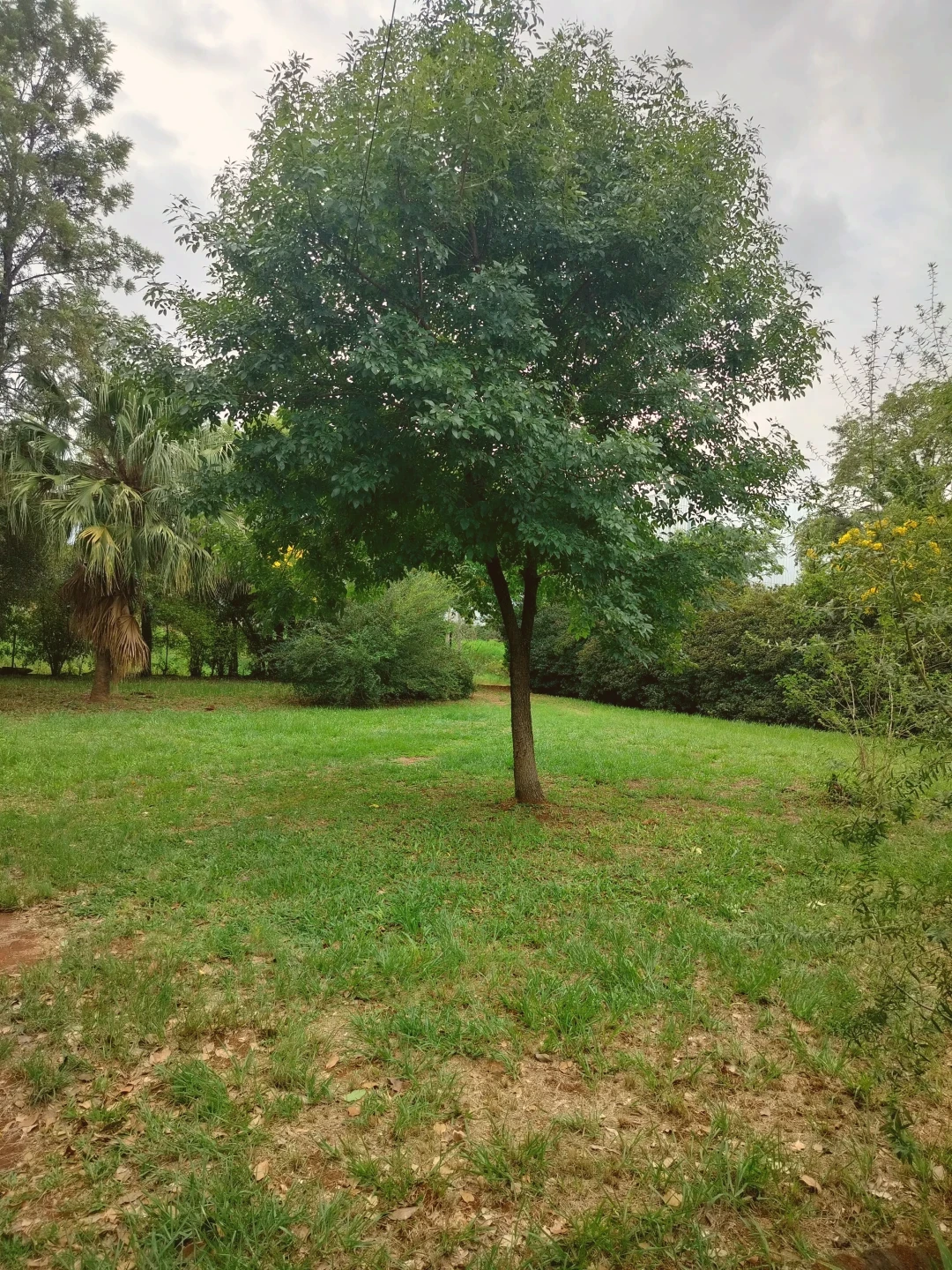 Casa en ALQUILER – Barrio Fátima