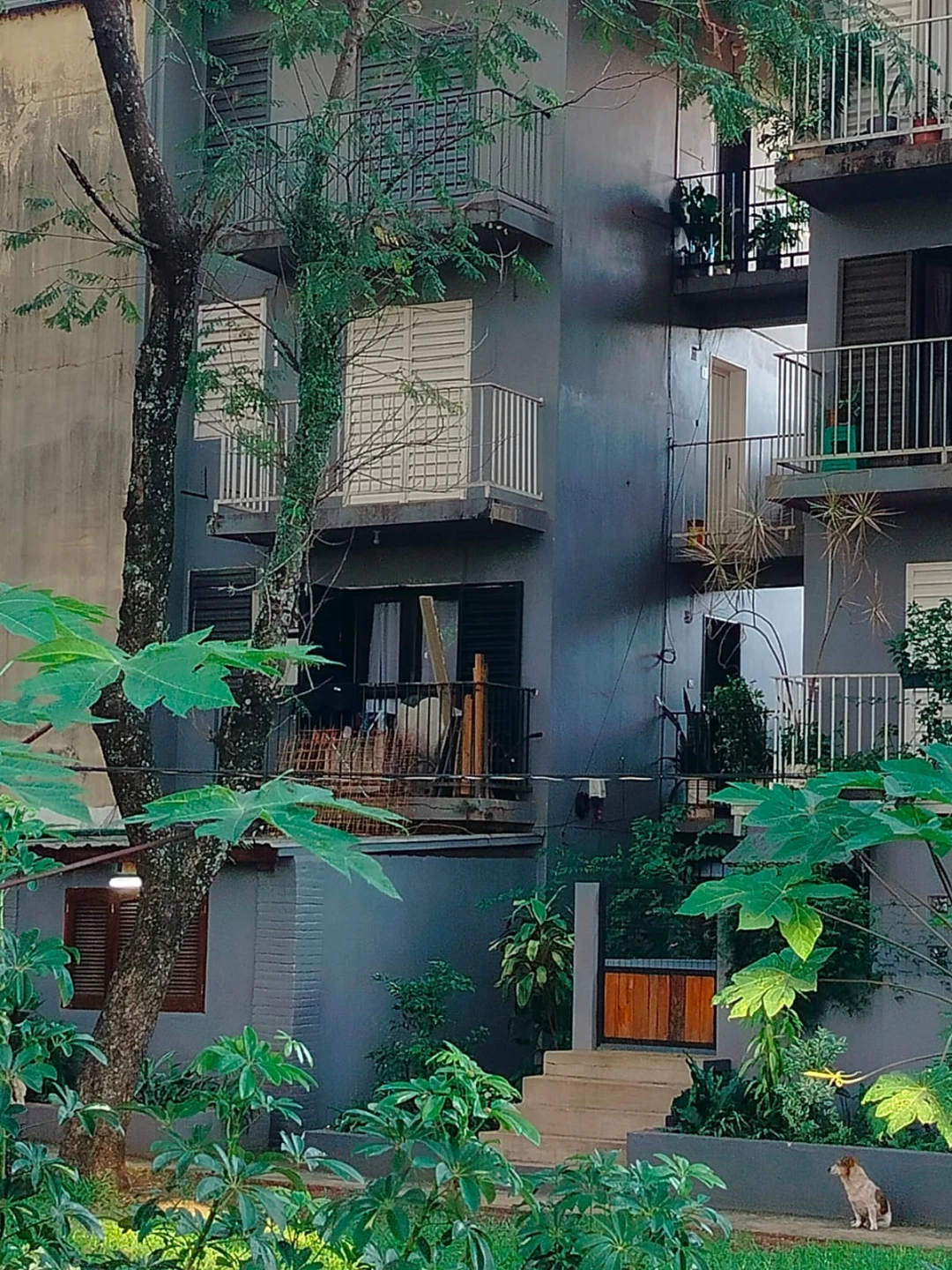 Dpto. en ALQUILER – Chacra 122 (Barrio Papel Misionero)